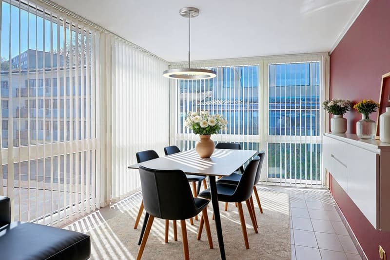 Appartement en attique lumineux avec vue imprenable sur le Lac (3)