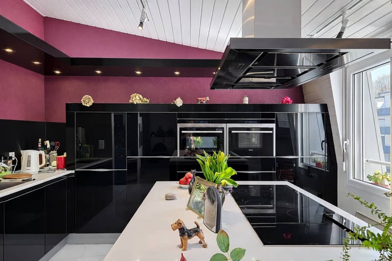 Appartement en attique lumineux avec vue imprenable sur le Lac (4)