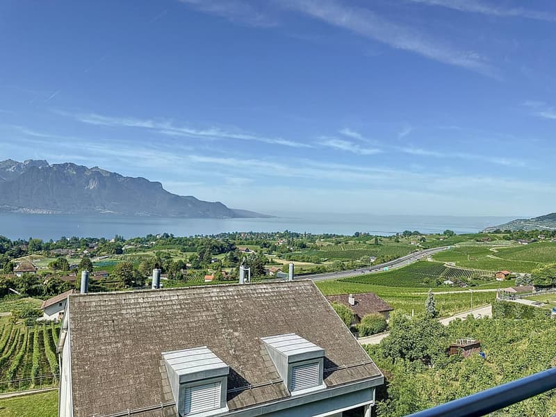 Villa jumelle de 5.5 pièces, avec vue panoramique sur le lac et les Alpes ! (9)