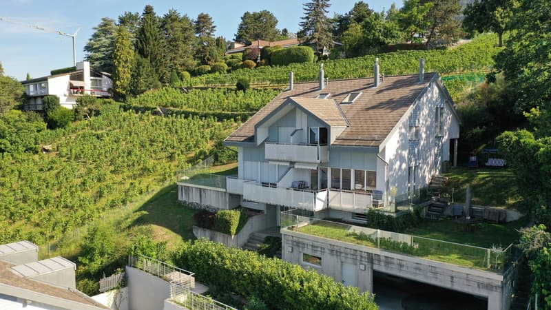 Villa jumelle de 5.5 pièces, avec vue panoramique sur le lac et les Alpes ! (1)