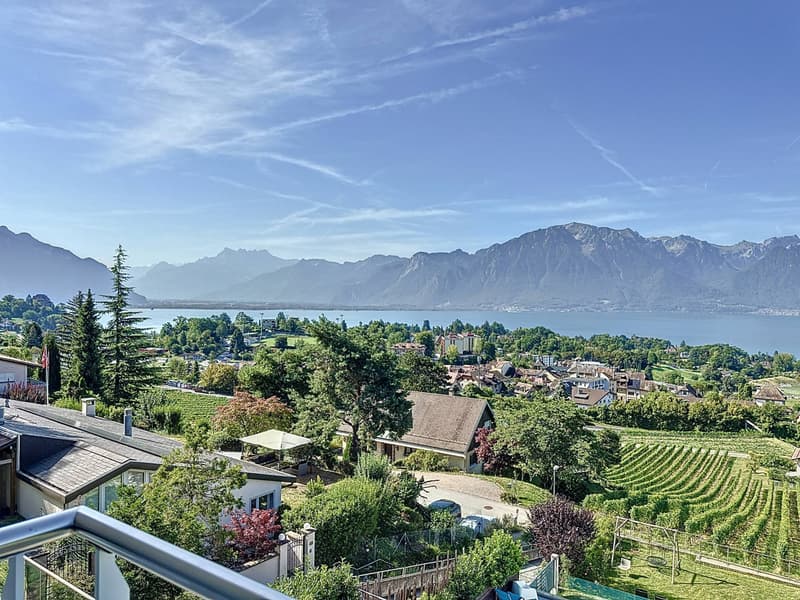 Villa jumelle de 5.5 pièces, avec vue panoramique sur le lac et les Alpes ! (2)