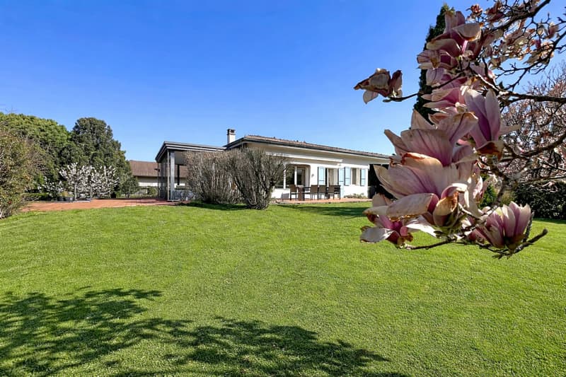 Maison familiale avec beau jardin (13)