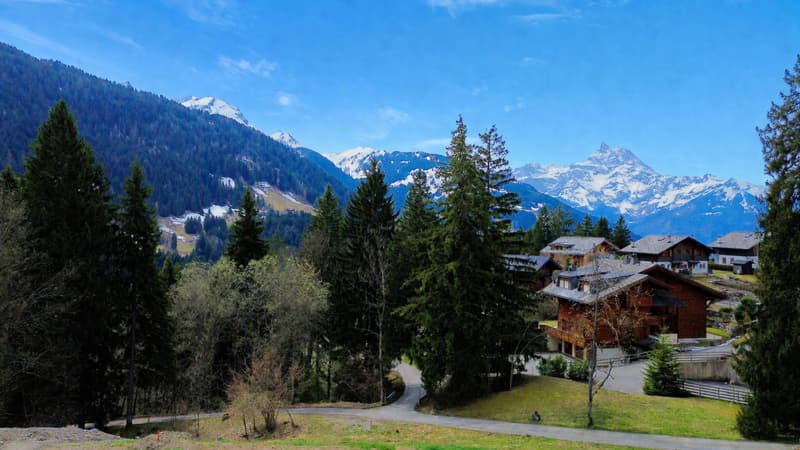Havre de paix à la montagne, à deux pas des pistes (5)