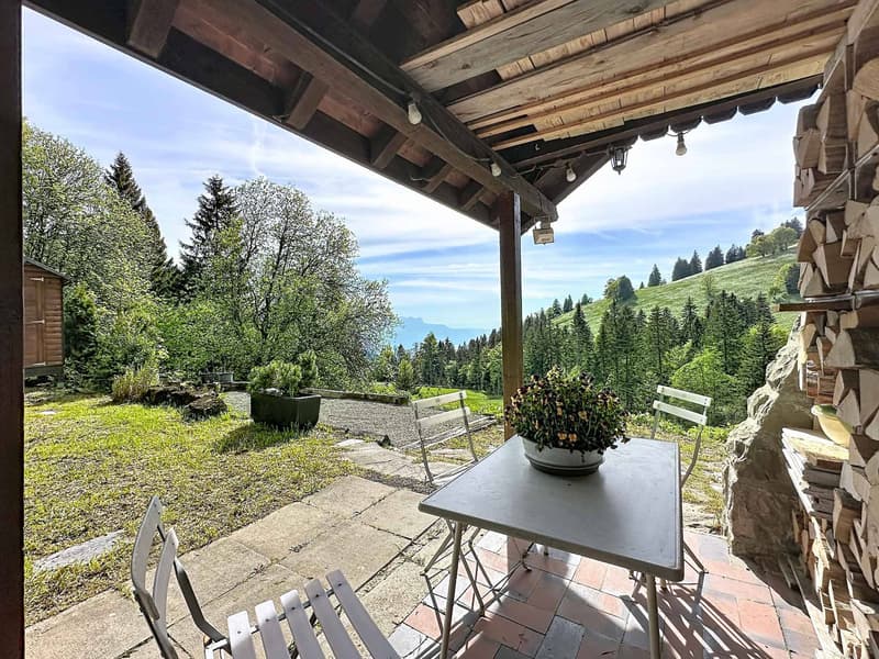 Chalet à Orgevaux/Montreux (8)