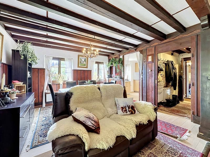 Chalet à Orgevaux/Montreux (4)