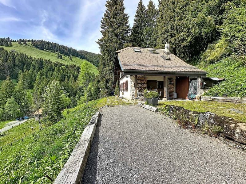 Chalet à Orgevaux/Montreux (9)