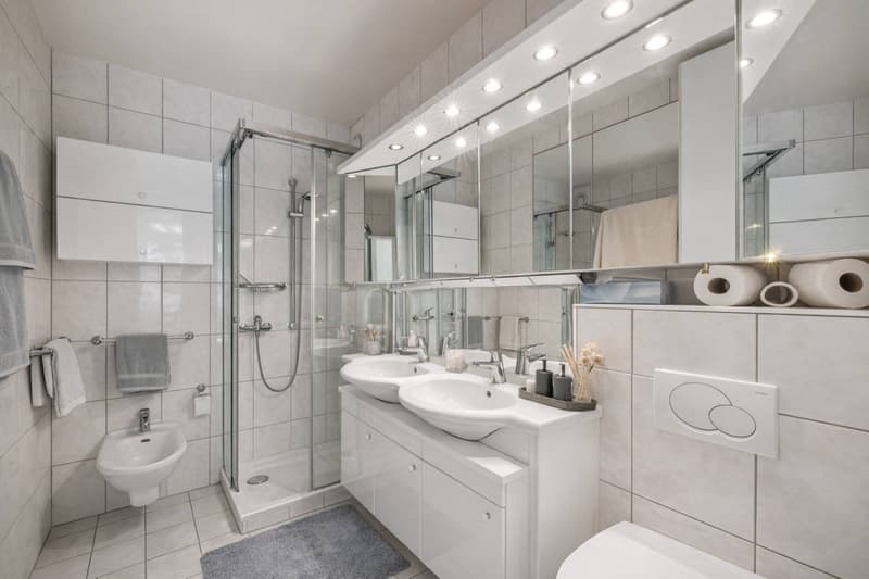Appartement de caractère sur le Quai des Fleurs (7)