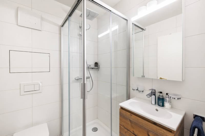 Spacieux appartement de 5.5 pièces avec terrasse et grand jardin (12)