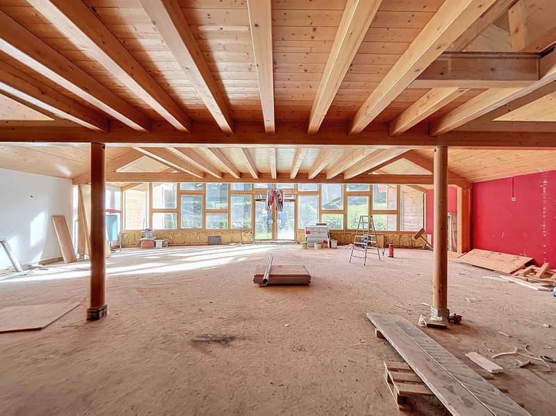 Duplex neuf avec jardin L'élégance alpine au cur des Portes du Soleil (1)