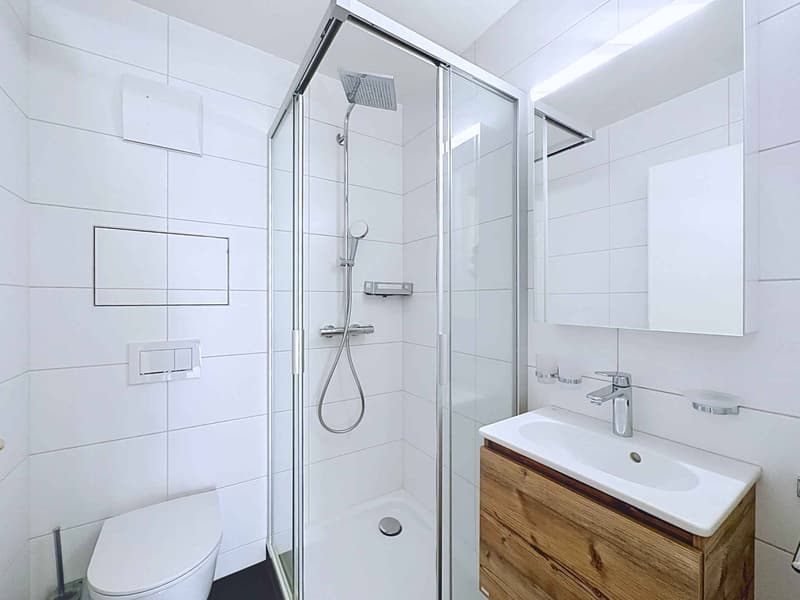 Spacieux appartement de 5.5 pièces avec terrasse et grand jardin (10)