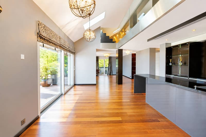 Magnifique attique en duplex avec vue imprenable sur le lac (5)