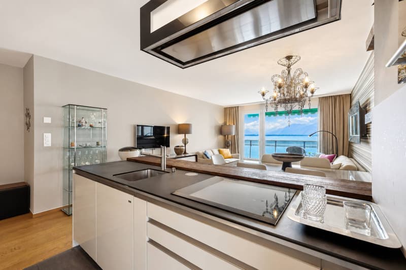 BEL APPARTEMENT PROCHE DE TOUTES LES COMMODITÉS. (4)