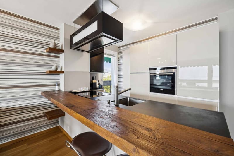 BEL APPARTEMENT PROCHE DE TOUTES LES COMMODITÉS. (9)