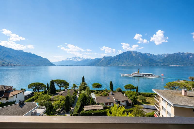 BEL APPARTEMENT PROCHE DE TOUTES LES COMMODITÉS. (3)