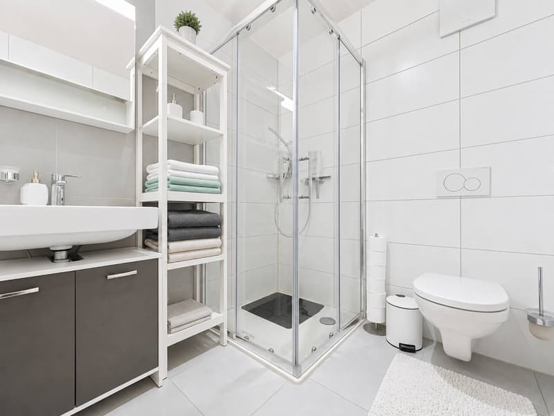Spacieux appartement de 4,5 pièces avec vue sur les montagnes (11)