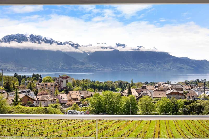 Élégante propriété contemporaine avec vue panoramique sur le Léman (2)