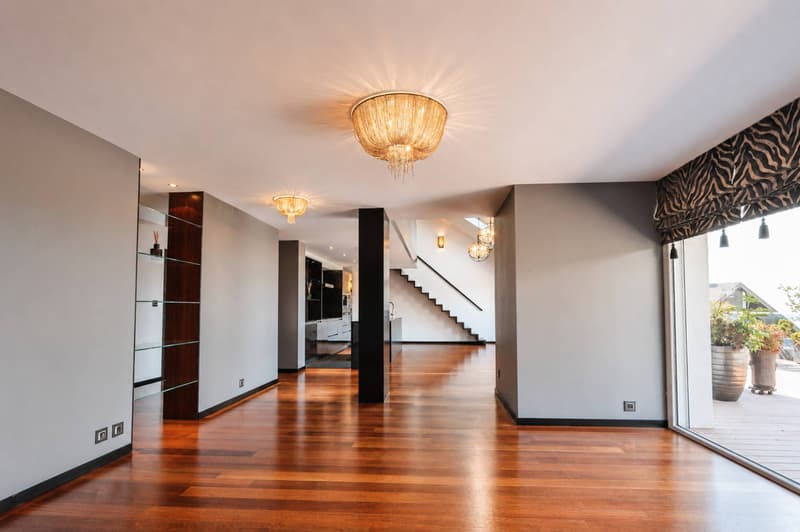 Magnifique attique en duplex avec vue imprenable sur le lac (8)