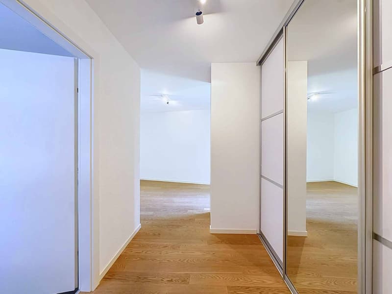 Spacieux appartement de 5.5 pièces avec terrasse et grand jardin (9)