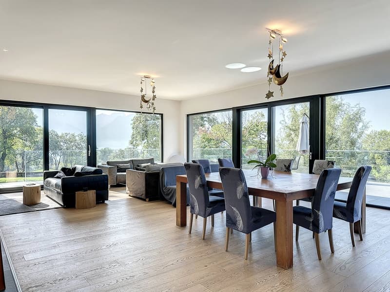 Splendide propriété située dans un quartier résidentiel, prestigieux et calme (3)