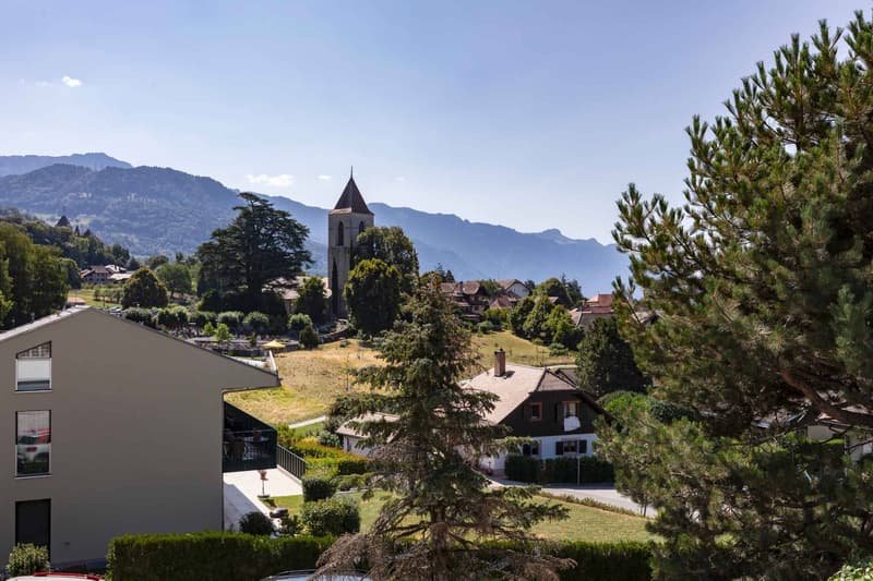 Superbe propriété de 7,5 pièces au cur d'un quartier très recherché (8)