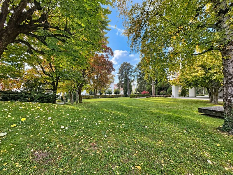 Superbe appartement idéalement situé à la Tour-de-Peilz (2)
