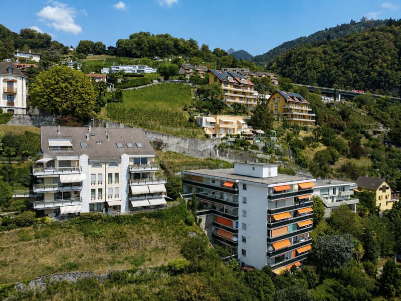 Charmant 2.5 pièces avec grande terrasse et vue sur le lac (5)