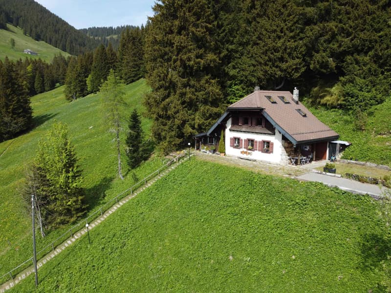 Chalet à Orgevaux/Montreux (1)