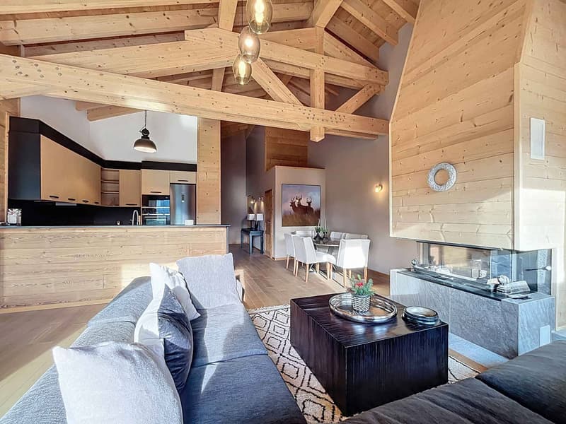 Appartement avec cachet face aux montagnes, à deux pas des pistes (1)