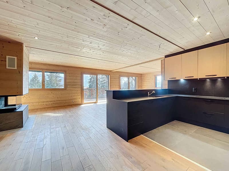 Appartement de standing face aux montagnes, à deux pas des pistes (1)