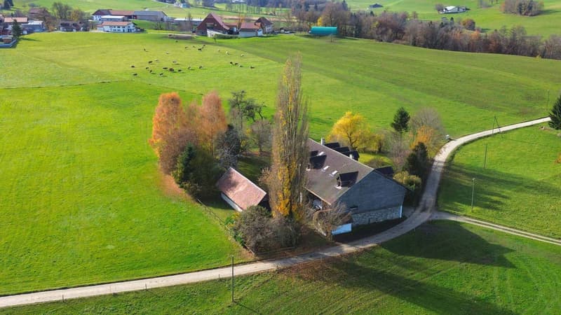 Propriété de 10 pièces en pleine nature (11)
