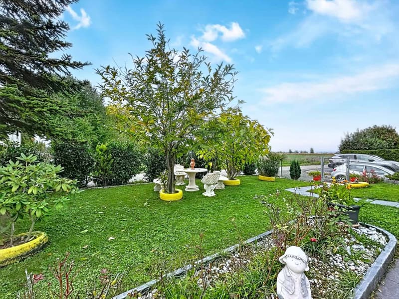 Belle villa de 5.5 pièces avec jardin et espaces généreux (12)