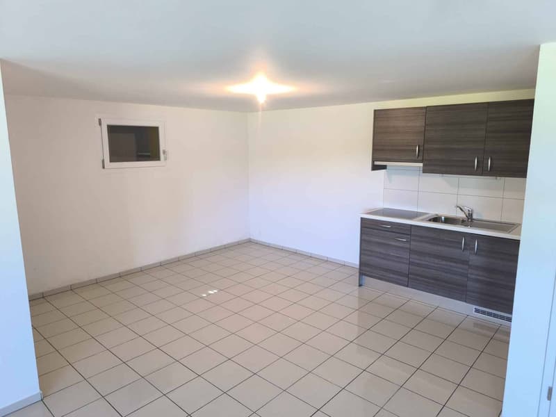 Local de 45 m² idéal pour artisan ou stockage (2)