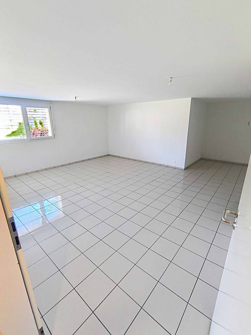 Local de 45 m² idéal pour artisan ou stockage (5)