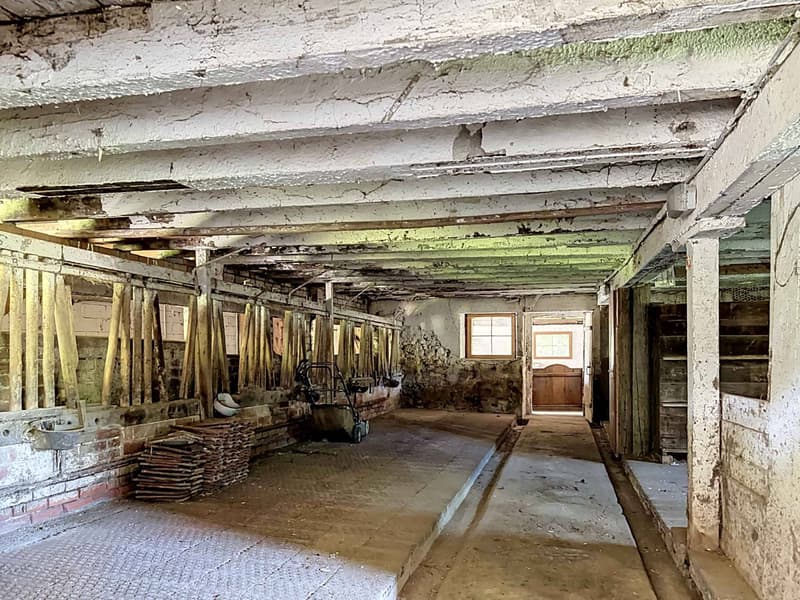 Charmante ferme de 7 pièces à rénover, environnement paisible avec annexes (10)