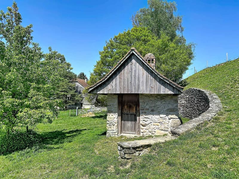 Charmante ferme de 7 pièces à rénover, environnement paisible avec annexes (11)