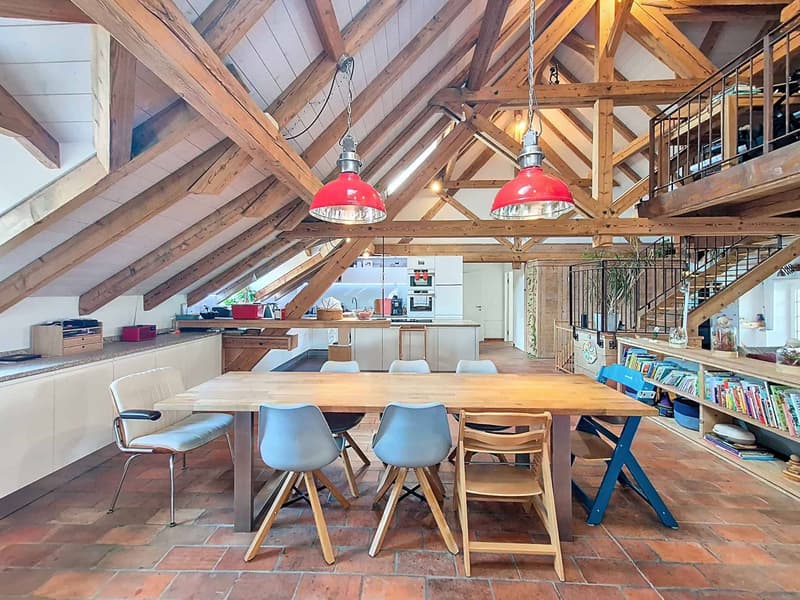 Triplex de 5.5 pièces en attique proche de Romont (4)