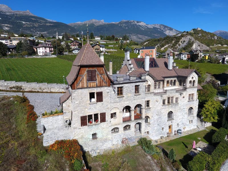 Château Le Paradou (3)