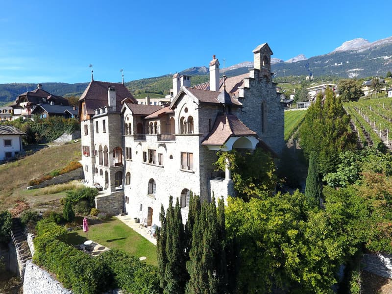 Château Le Paradou (5)