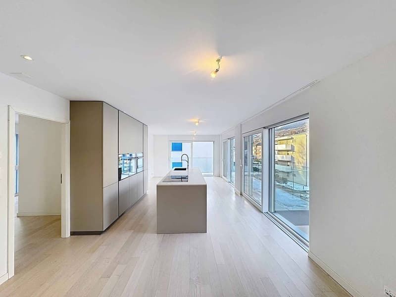 Appartement 4 pièces lumineux avec vue montagne (5)