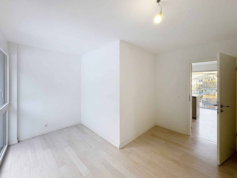 Appartement 4 pièces lumineux avec vue montagne (8)