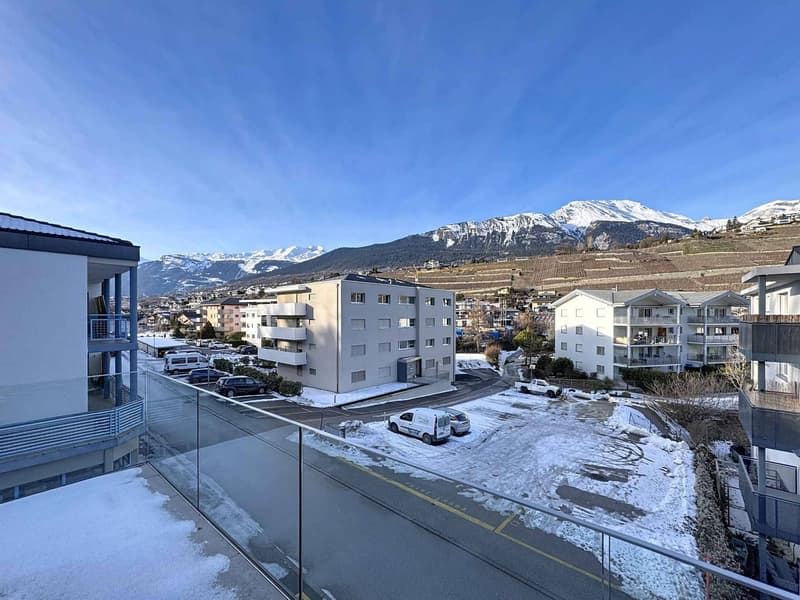 Appartement 4 pièces lumineux avec vue montagne (12)