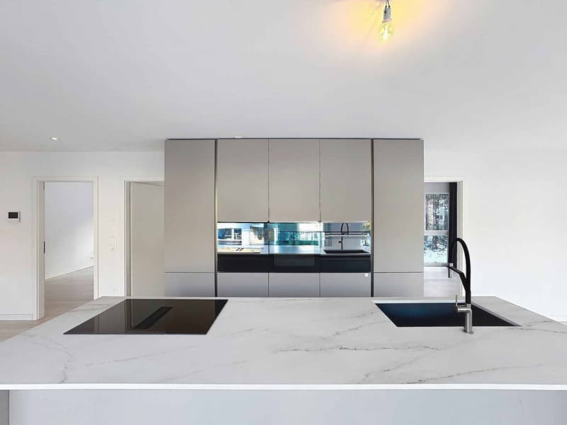 Appartement 4 pièces lumineux avec vue montagne (3)