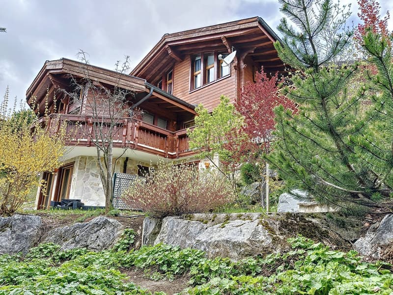 Magnifique chalet à deux pas du centre de la station d'Anzère (3)