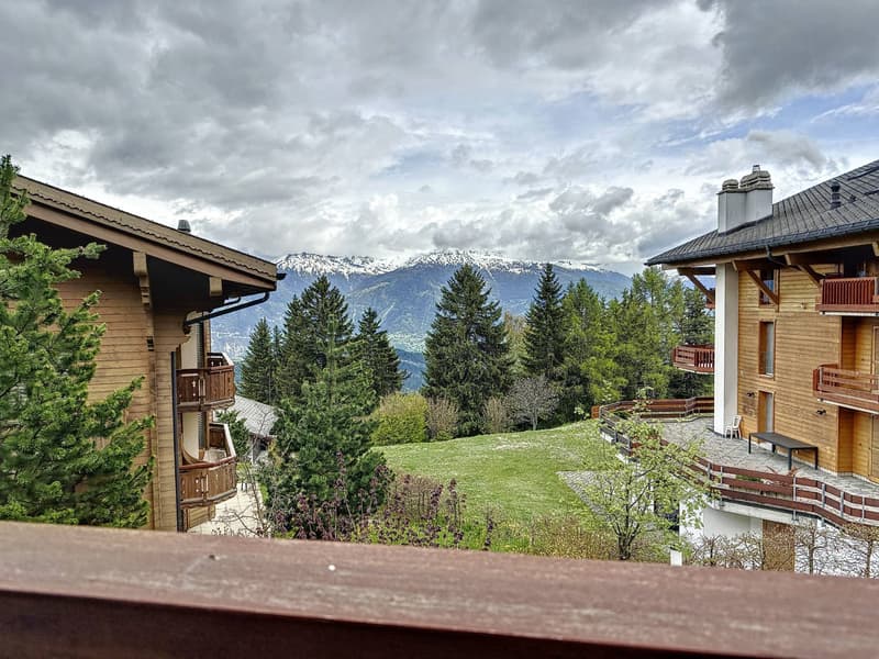 Magnifique chalet à deux pas du centre de la station d'Anzère (4)