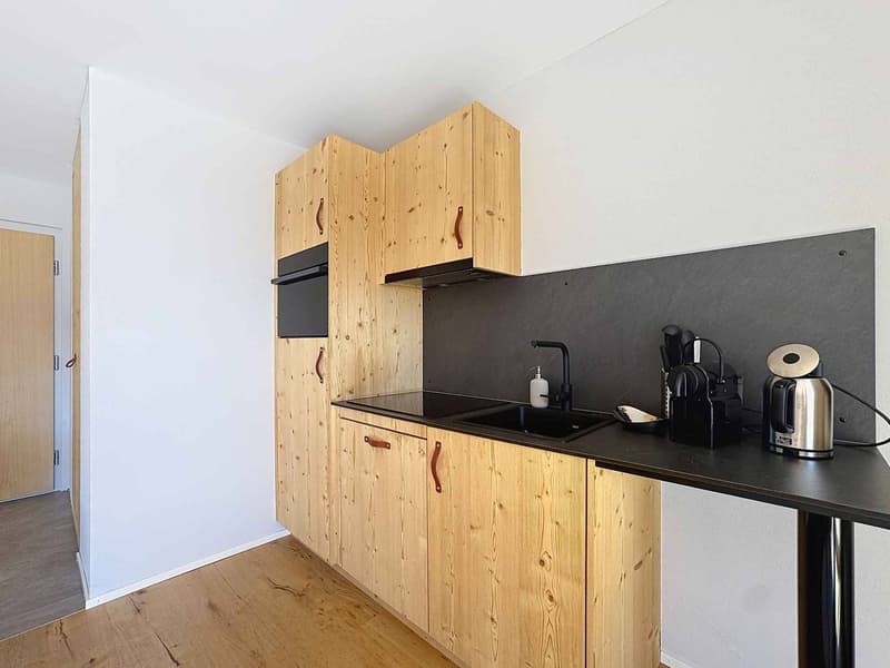 Appartement 2.5 pièces  Complexe de la Dent Blanche Hérémence (7)