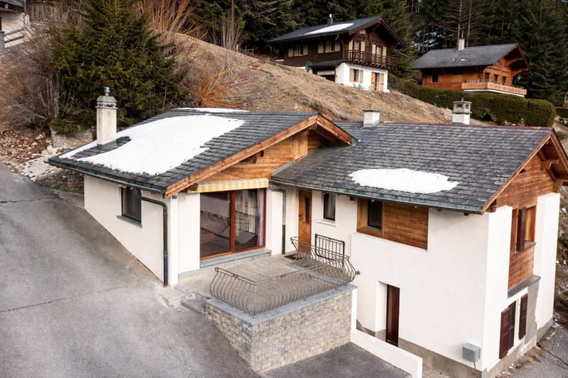 Chalet mitoyen au charme authentique entièrement rénové (1)