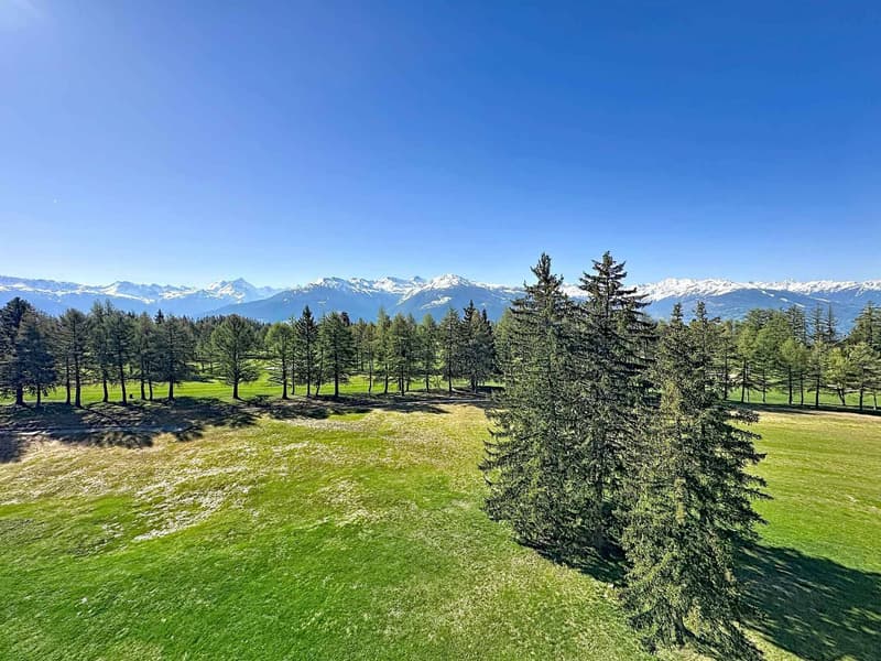 Appartement de 6.5 pièces en attique face au golf avec superbe vue + studio (2)