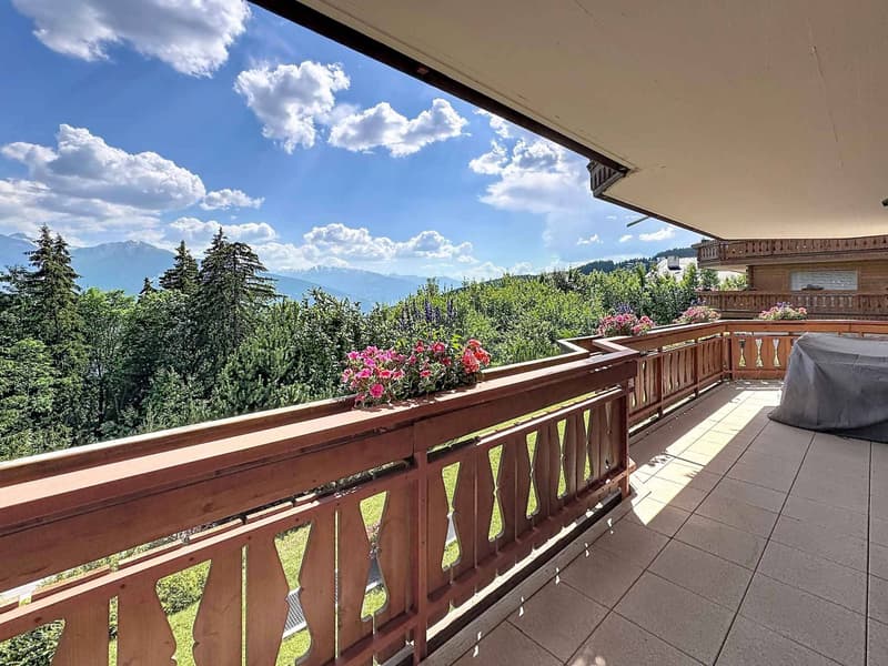 Magnifique appartement de 4.5 pièces avec jardin et belle vue (3)