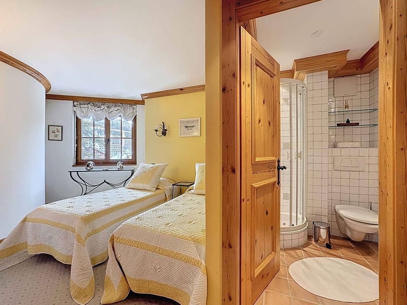 MAGNIFIQUE DUPLEX/ATTIQUE DE 6.5 PIÈCES AU CENTRE AVEC TRÈS BELLE VUE (11)
