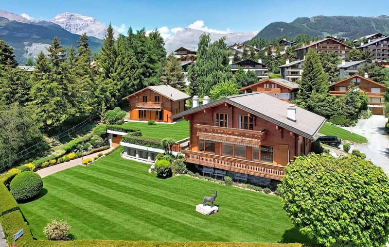 Domaine avec 2 chalets individuels reliés par les sous-sols (2)